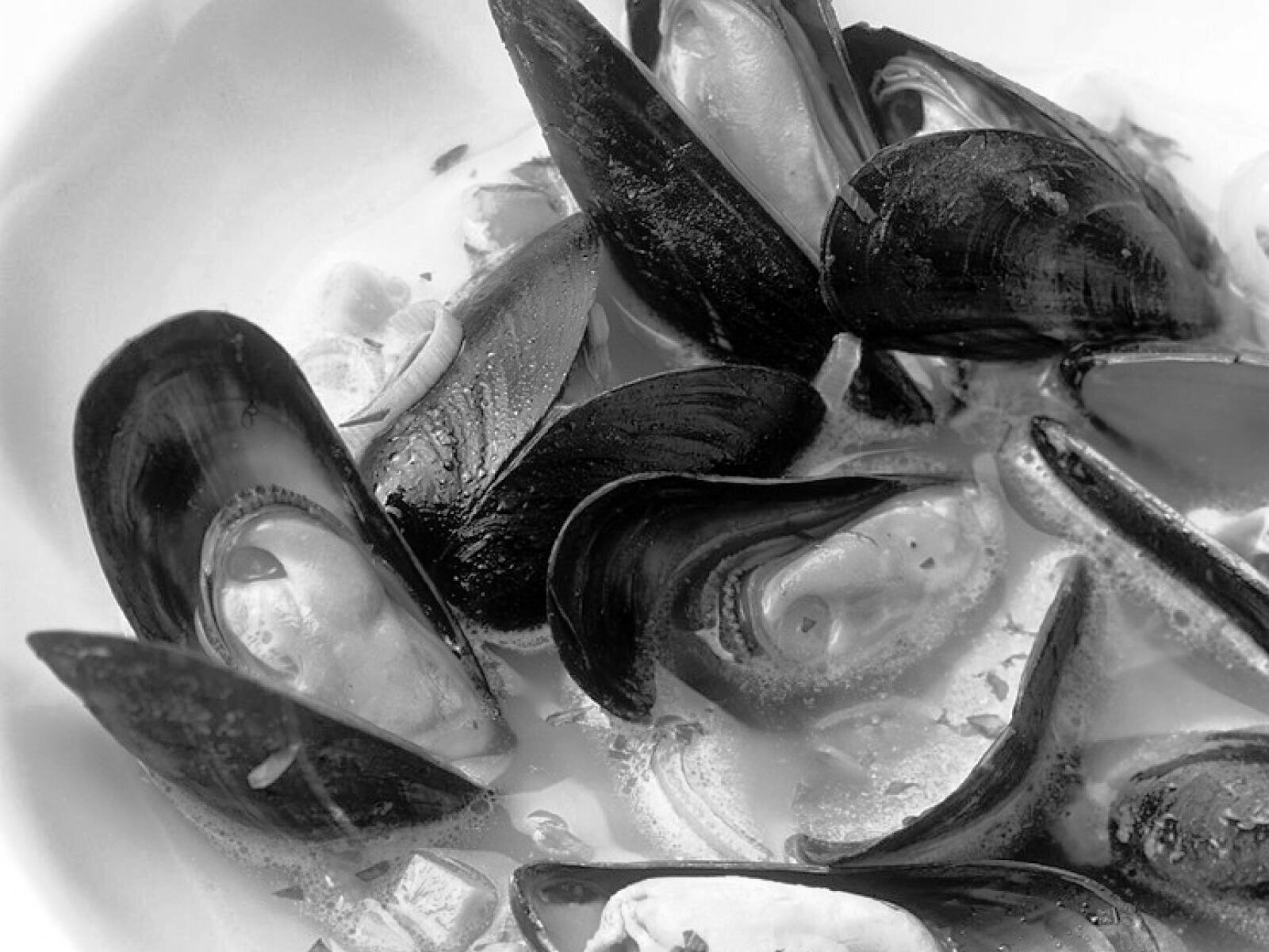 Comment préparer les moules ?